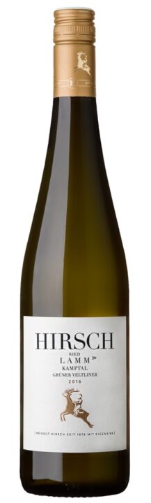 Grüner Veltliner Ried Lamm 1 ÖTW Kamptal DAC  Magnum
